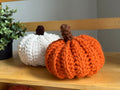 PUMPKIN PLUSHIE PATTERN - beginner